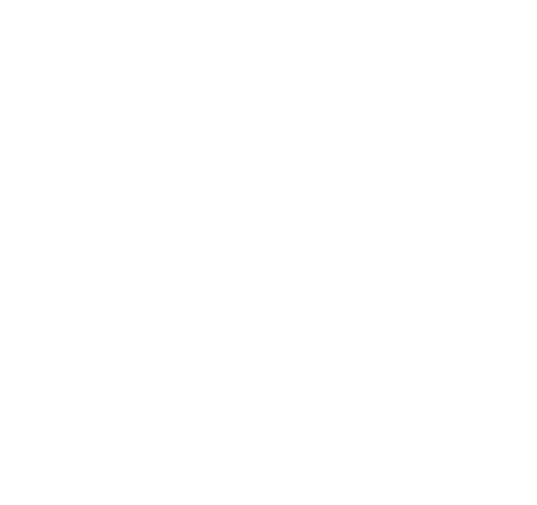 31.05.2008